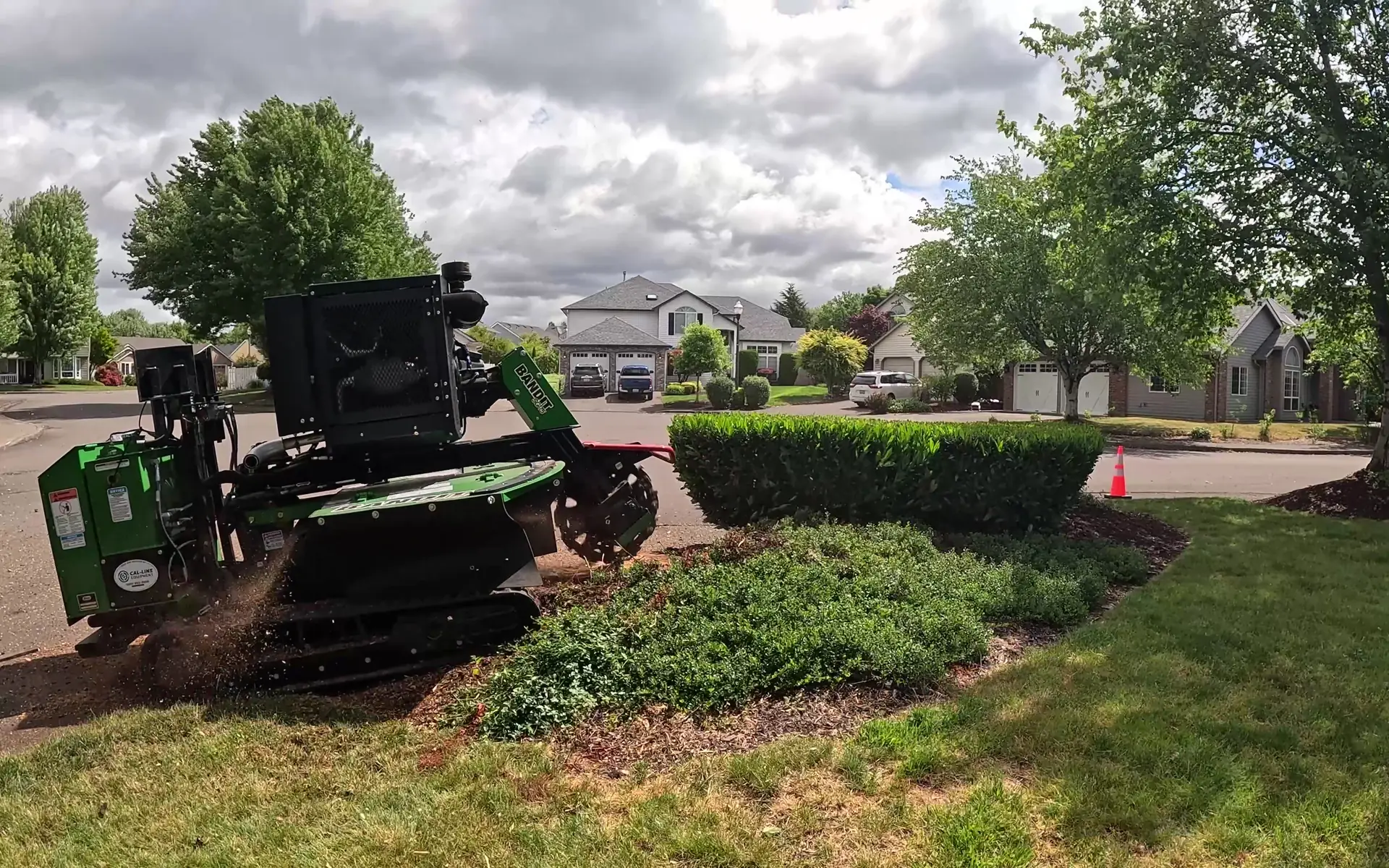 Tracked Bandit SG-75 stump grinder throwing wood chips as it grinds a stump in a front-yard landscape bed