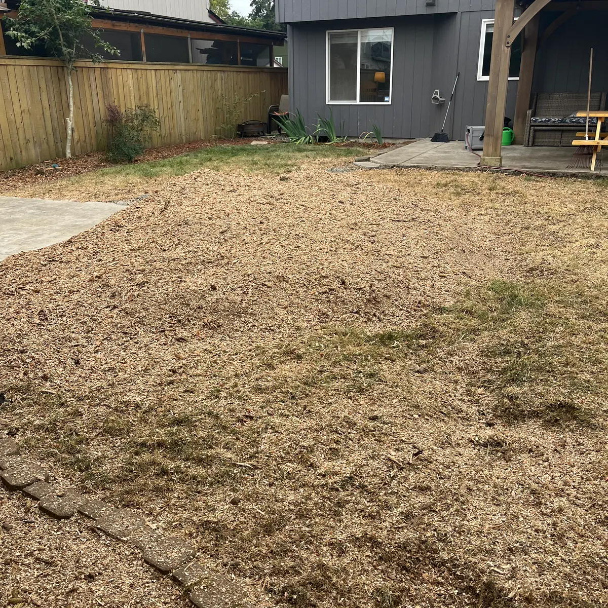 The same backyard after stump grinding, with the stump gone and grindings raked out across the yard