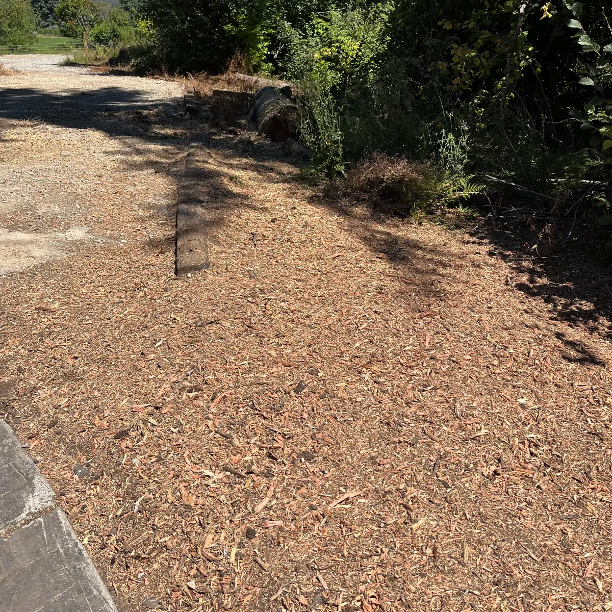 The same stamped concrete path after stump grinding, with the stump replaced by wood grindings and the path intact